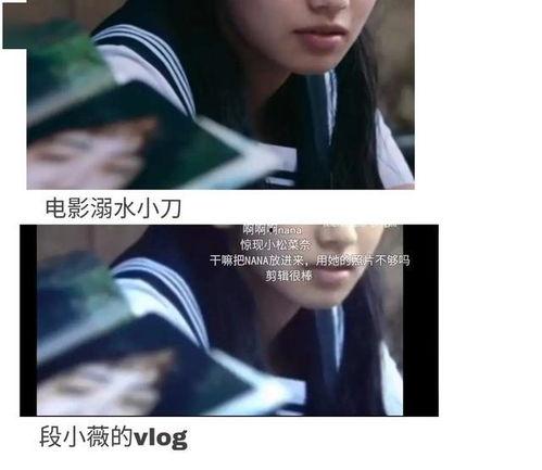 穿书去娱乐圈吃瓜,娱乐圈的瓜田漫步